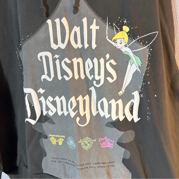 🧚Disneyland Grey Hoodie 3X - Picture 5 of 8